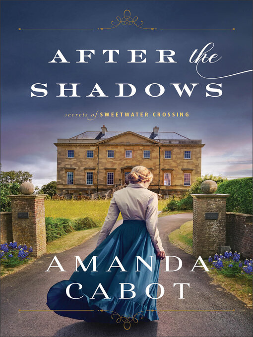 Cover image for After the Shadows